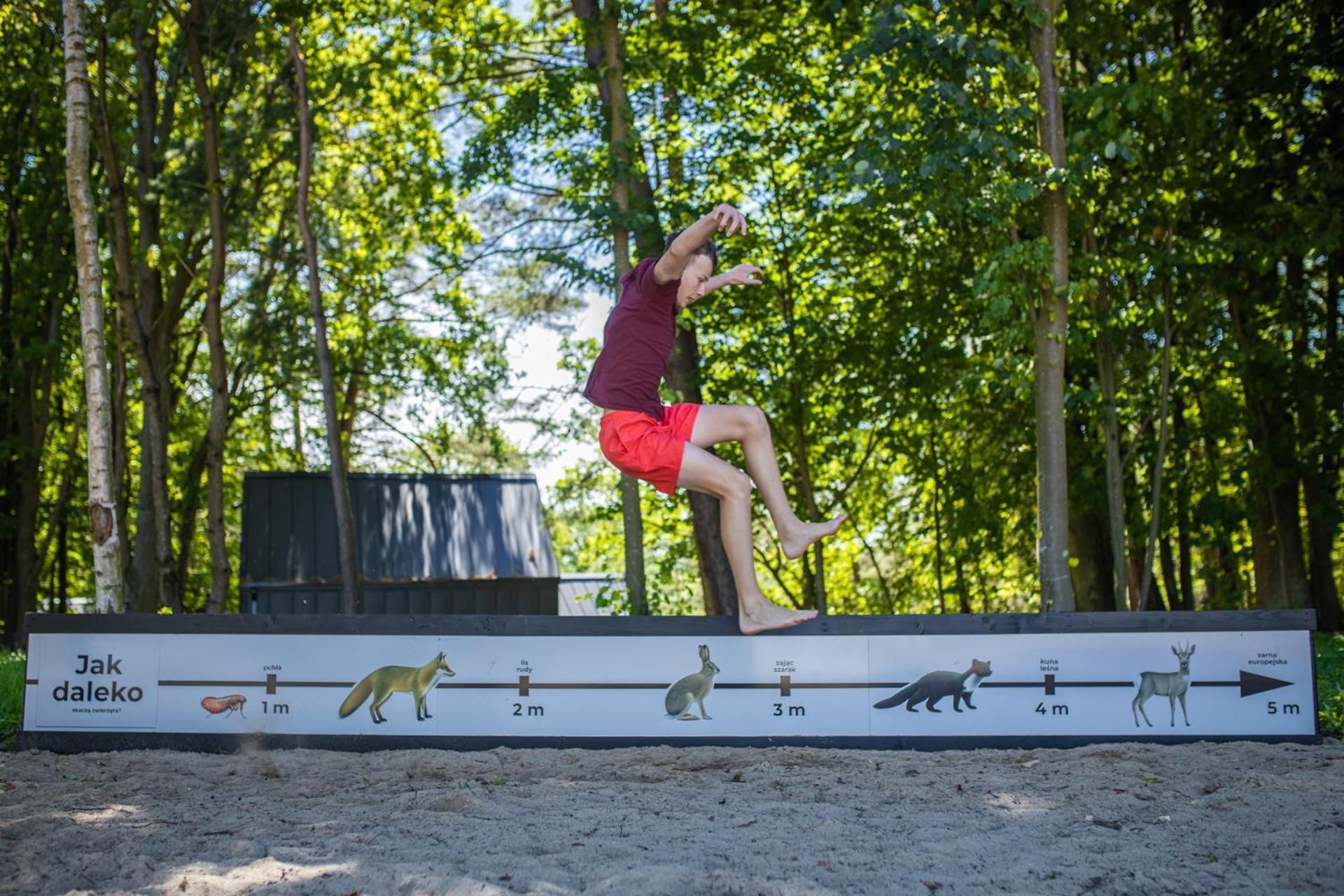 Narusa Lesna Przystan Frombork Exteriér fotografie